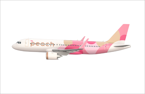 [S-55]
PEACH AVIATION LIMITED