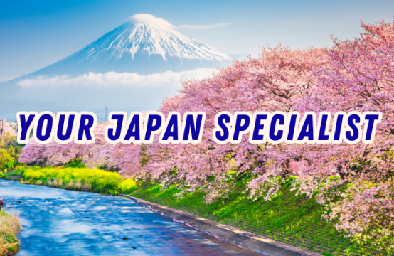 [S-81]
H.I.S. INTERNATIONAL TRAVEL PTE LTD